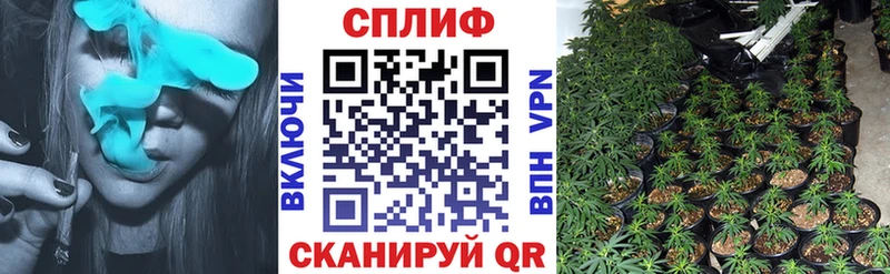 наркотики  Среднеколымск  Конопля тримм 